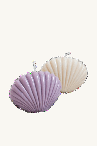 Vela Concha (6cm)