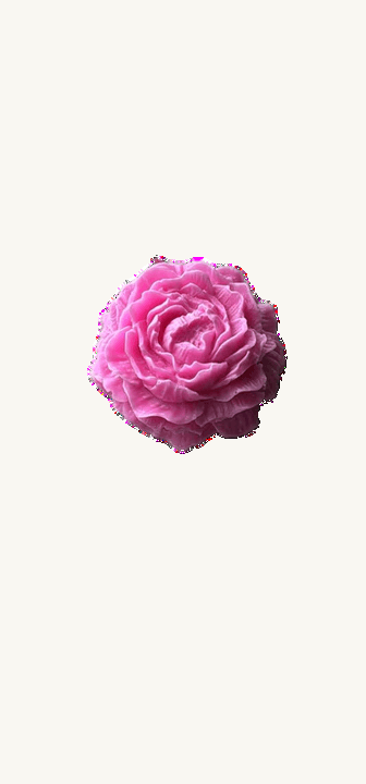 Vela Flor 3D (6cm)