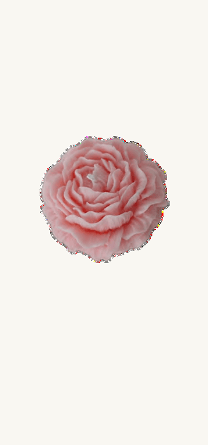 Vela Peonía 3D (4cm)