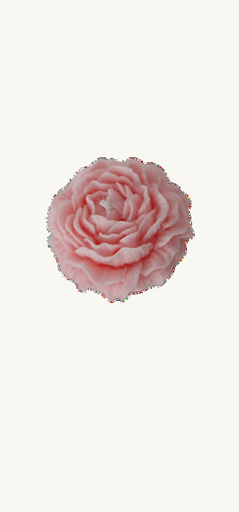 Vela Peonía 3D (6cm)